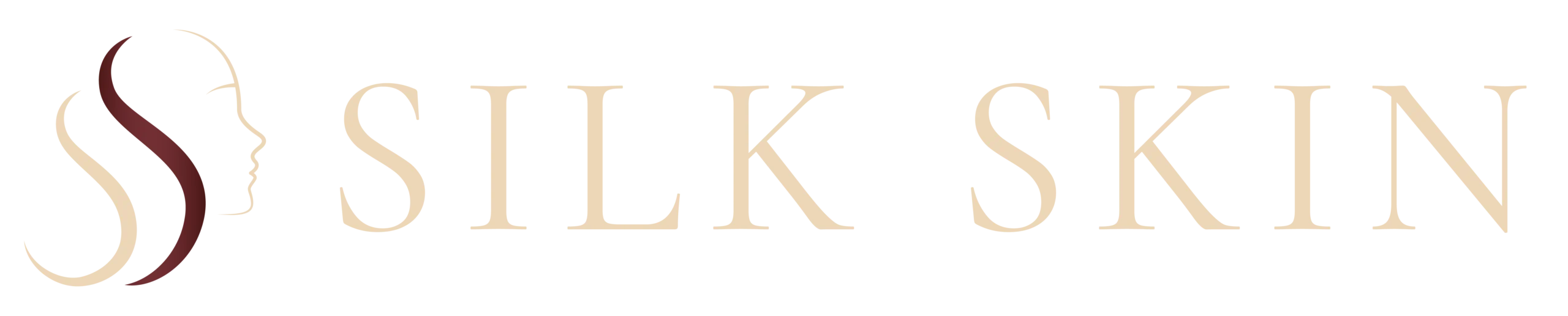 Silk Skin Aesthetics Logo